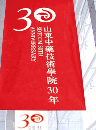 山东中药技术学院形象识别及30年校庆品牌设计—竖幅设计展示